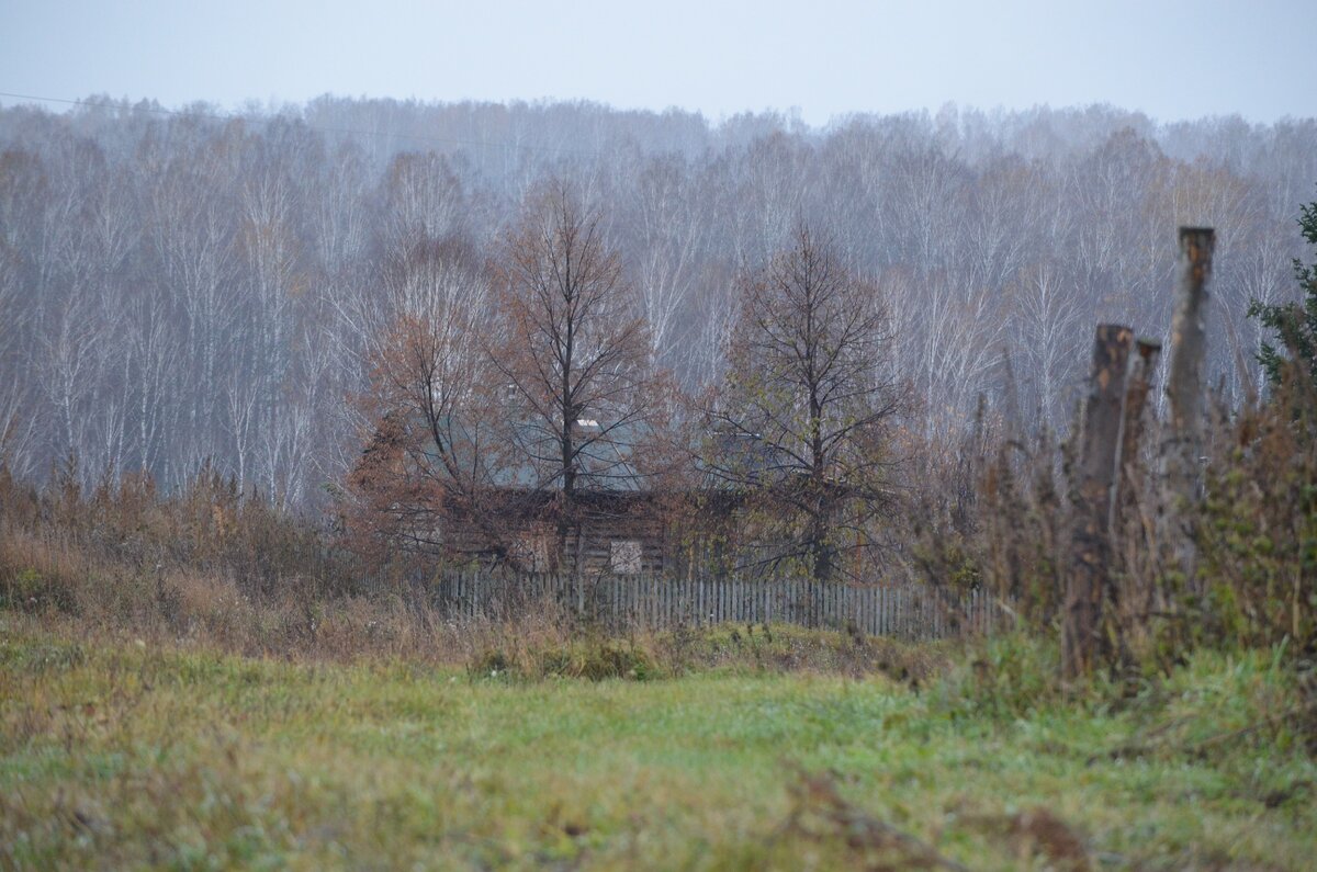 В деревне уже не осень, но еще не зима. Фото автора