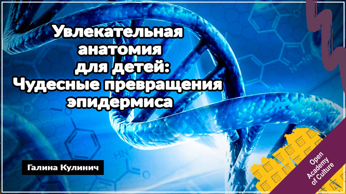 Анатомия для детей