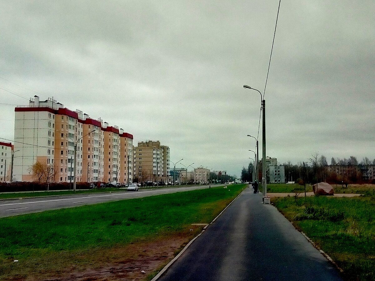 Никогда бы не подумала, что когда-либо буду жить в таком районе. Фото автора