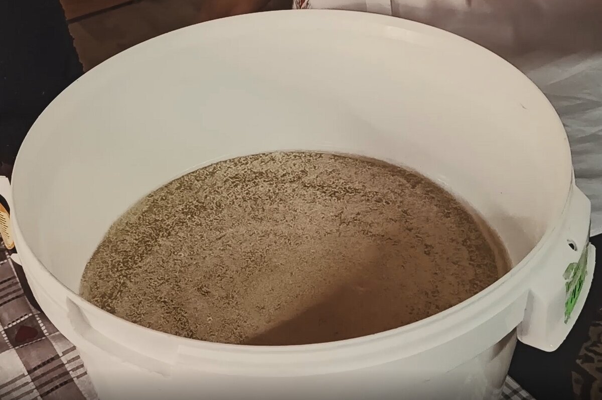 Насыпаем дрожжи рассыпая по поверхности сусла - авторское фото ©