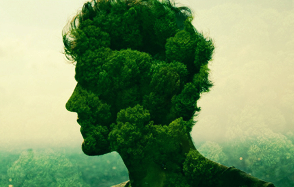 Картинка взята из интернета