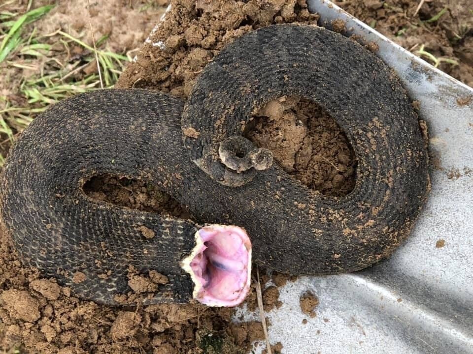 Да постирай ты уже свои вещи, наконец-то! 