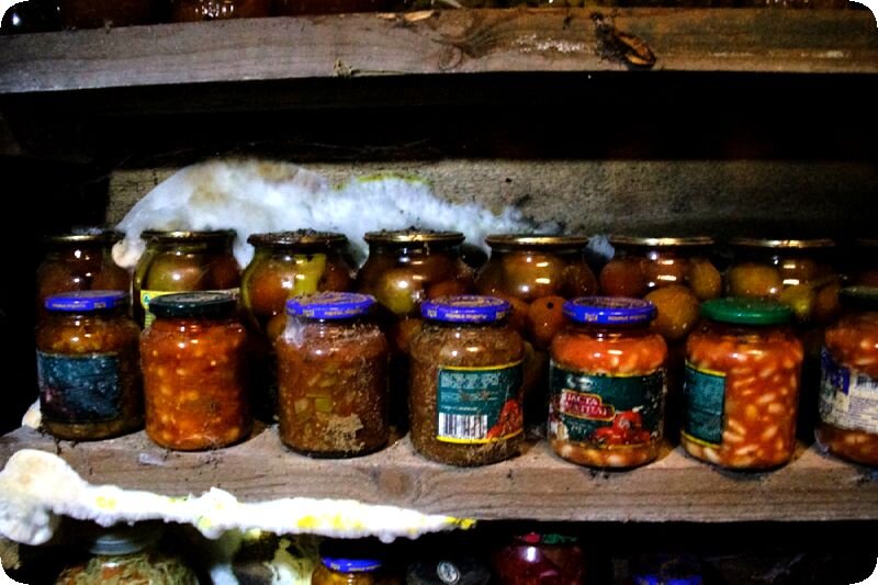 бороться с плесенью не сложно, но нужно 