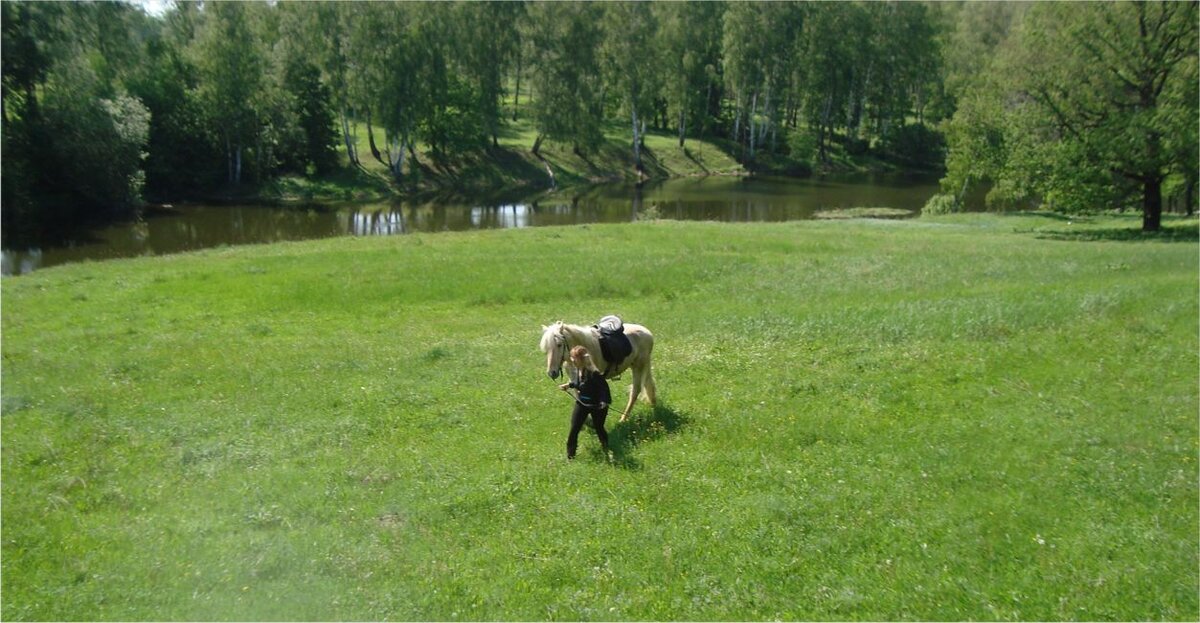 Деревенские просторы. Фото автора