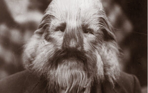 Стефан Бибровский