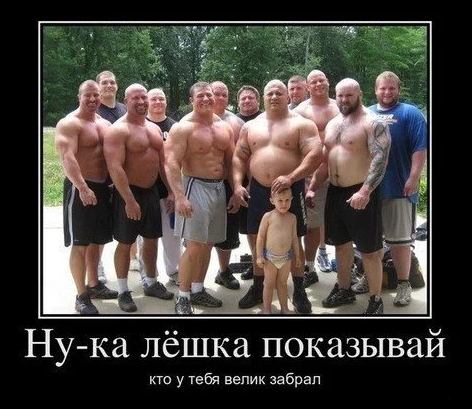 Источник изображения: https://super-puper.su/news/minutka_veloyumora_/