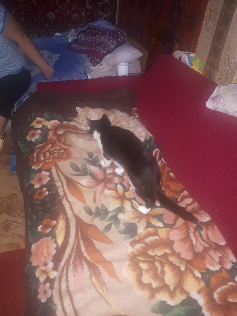 Из личного архива