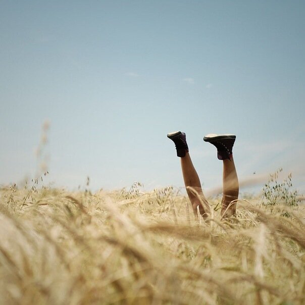 Каких же ты ждёшь, расскажи мне, особых знаков? Чтоб лик на картине внезапно вином заплакал? Чтоб рак просвистел “wind of change”, не сфальшивив в нотах? Ждёшь нового года? Седьмого числа? Субботы?
Нет логики в том, чтобы ждать перемен от ветра. 
И я не о «ком-то» сейчас. О тебе конкретно. 
Не будет будильников или иных сигналов, чтоб нас известить: наше время уже настало. Пусть думать об этом страшно и неприятно, запущен отсчёт, и он с первых минут - обратный. 
Не бойся менять города, имена, работы. Не жди, что появится умный и взрослый кто-то, придёт и разложит всю жизнь, как мотив, по нотам,

а если так нужен сигнал, то считай, что вот он.

© Мальвина Матрасова