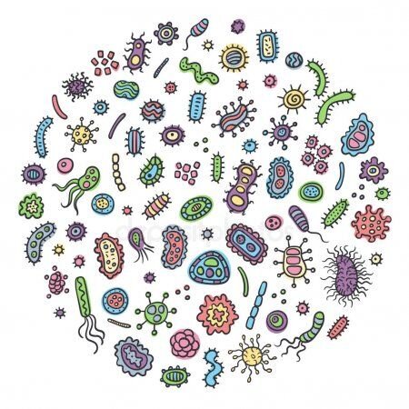 Источник: https://www.pinterest.ru/pin/730920214509384279/