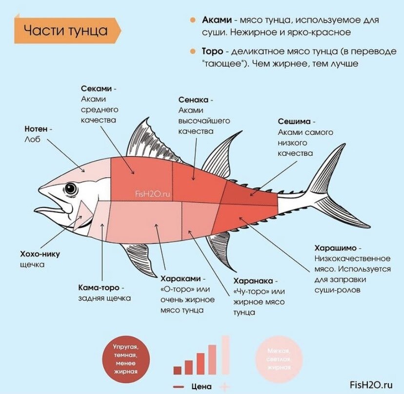 Как разделать тунца и приготовить