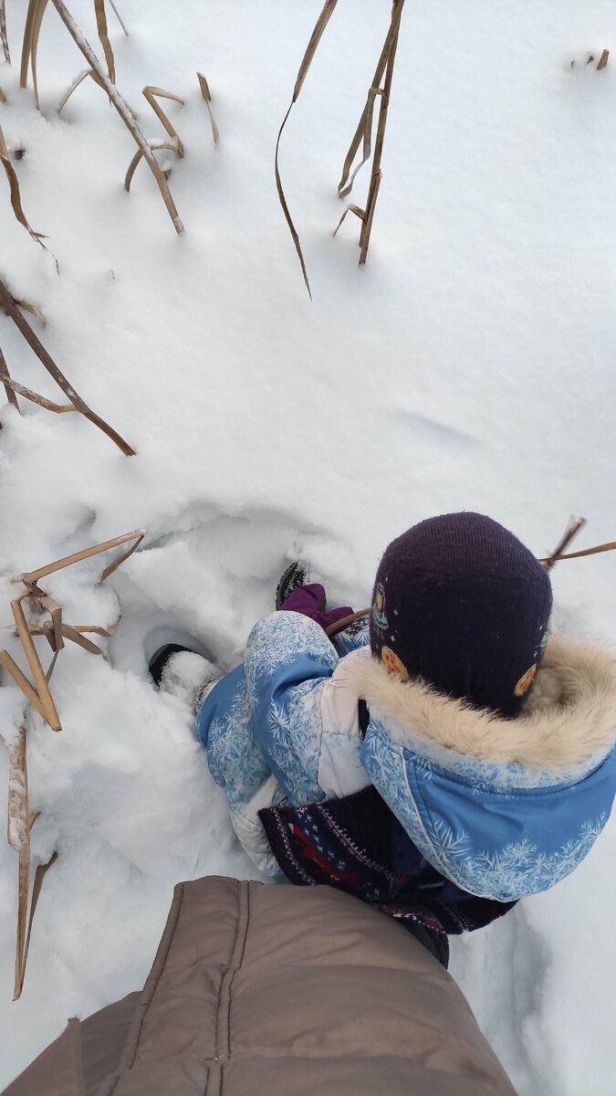 Мы сидим в сугробе в -20С