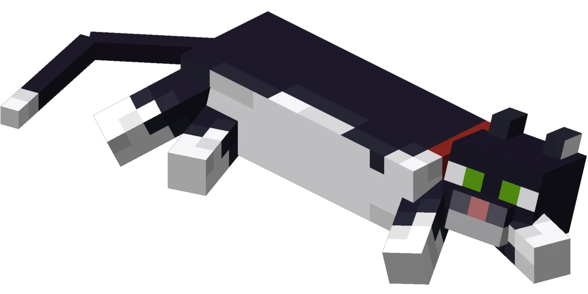 Котя... (фото из открытых источников)