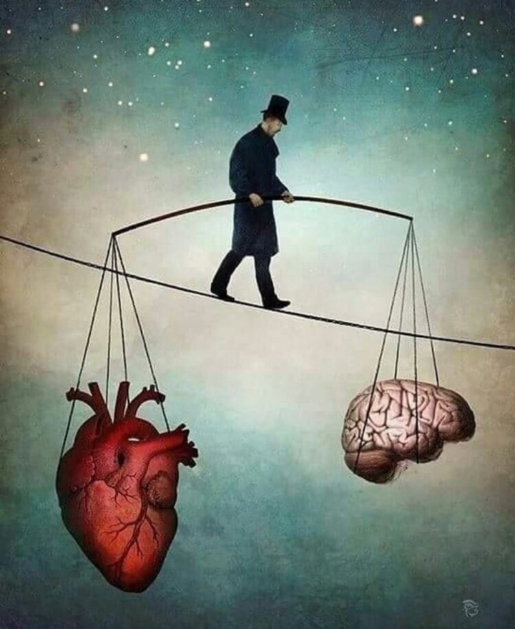 Источник Яндекс картинки