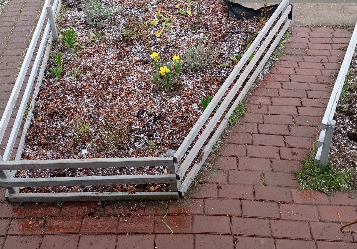 На майские всегда снег