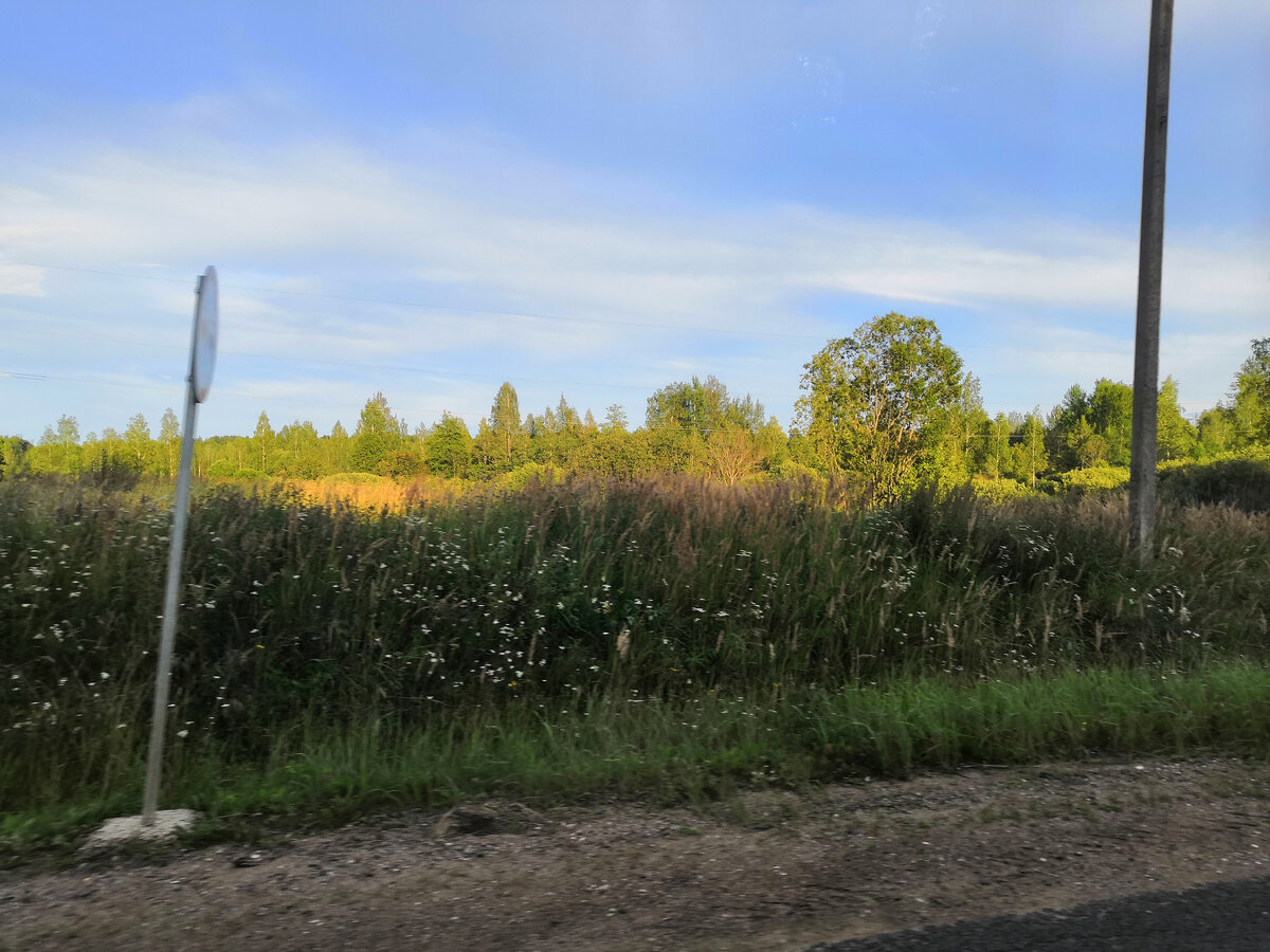 Вид из окна на пути странствия