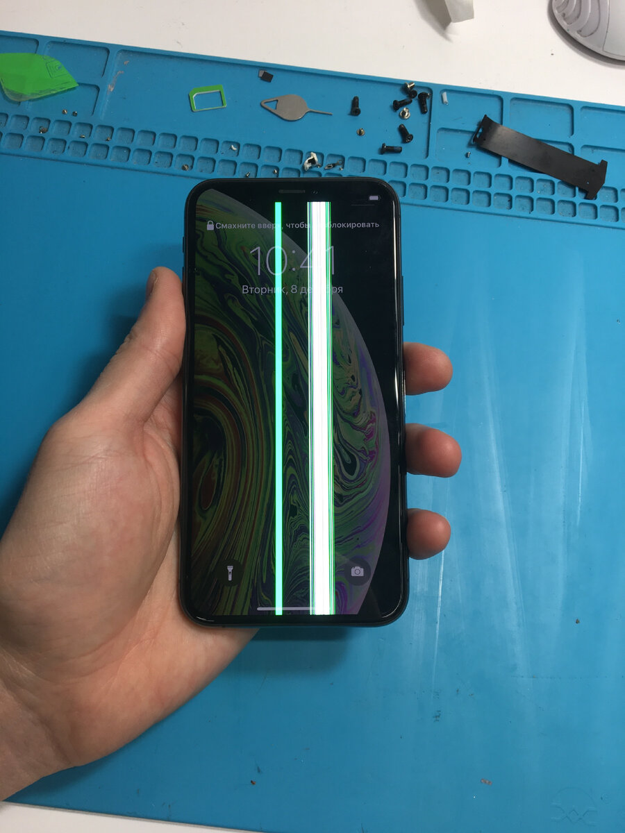 iPhone XS носили в заднем кармане брюк 