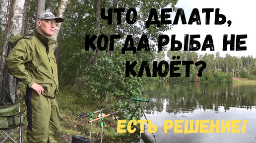 Почему в полнолуние рыба не клюёт? 🤔 Делюсь своими наблюдениями, стаж рыбалки около 13-ти лет