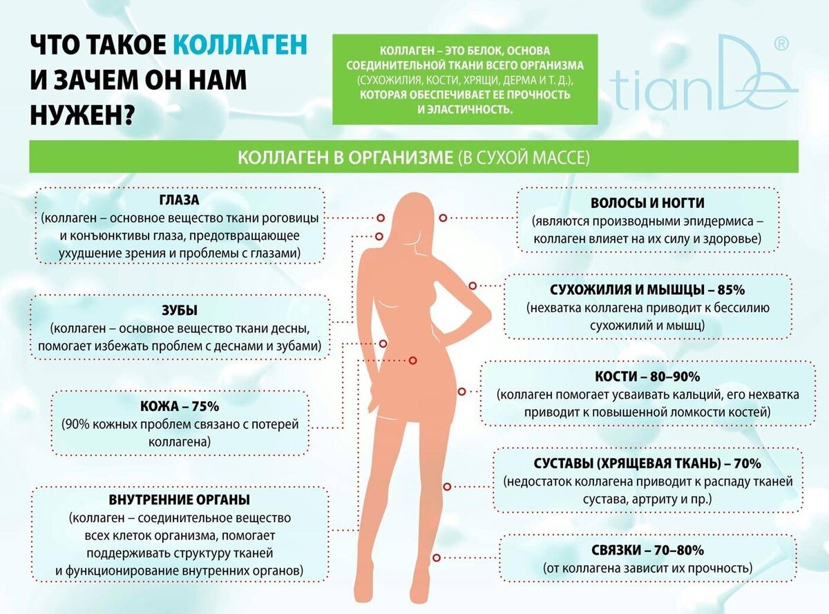 После скольки. Коллаген для чего нужен организму. Чем полезен коллаген. Для чего нужен коллаген. Выработка коллагена в организме.