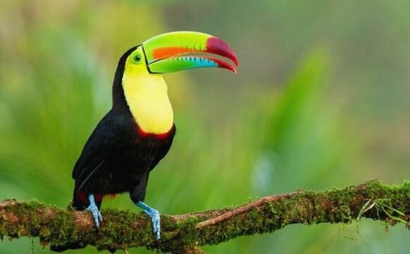 Источник фото: www.stena.ee