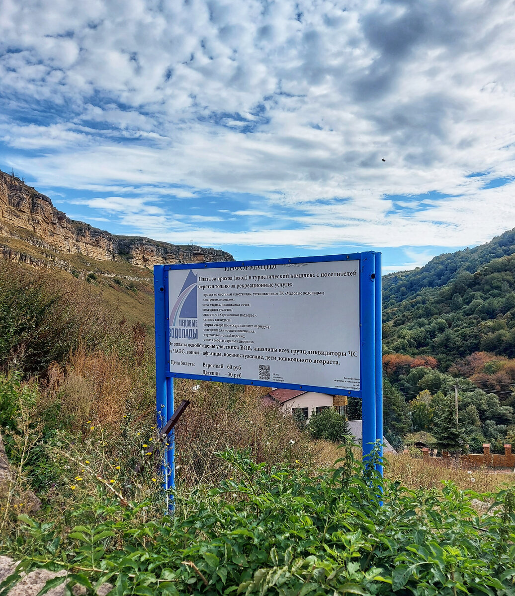 Информационное заросшее табло