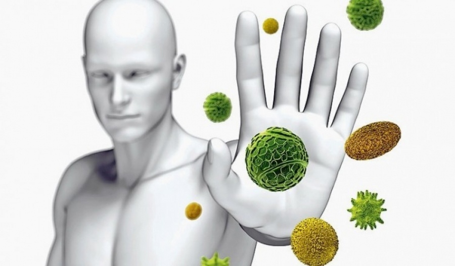 Защита иммунитета