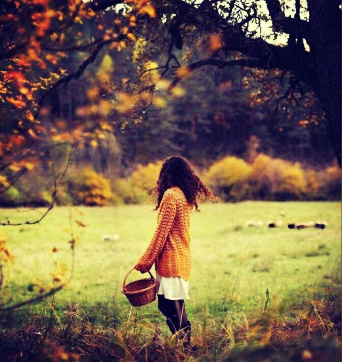 Мы смотрим на чужую Осень...