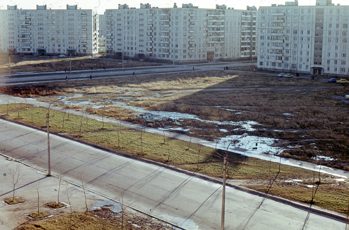 Каким был Ленинград в 1981 году? (изучаем старые фото и вспоминаем старый  добрый Ленинград) | Путешествия и всего по чуть-чуть | Дзен