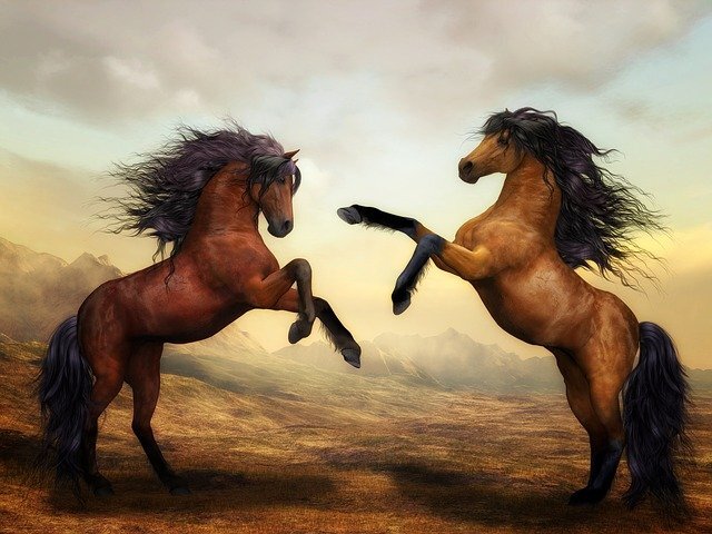 Изображение Susann Mielke с сайта Pixabay 
