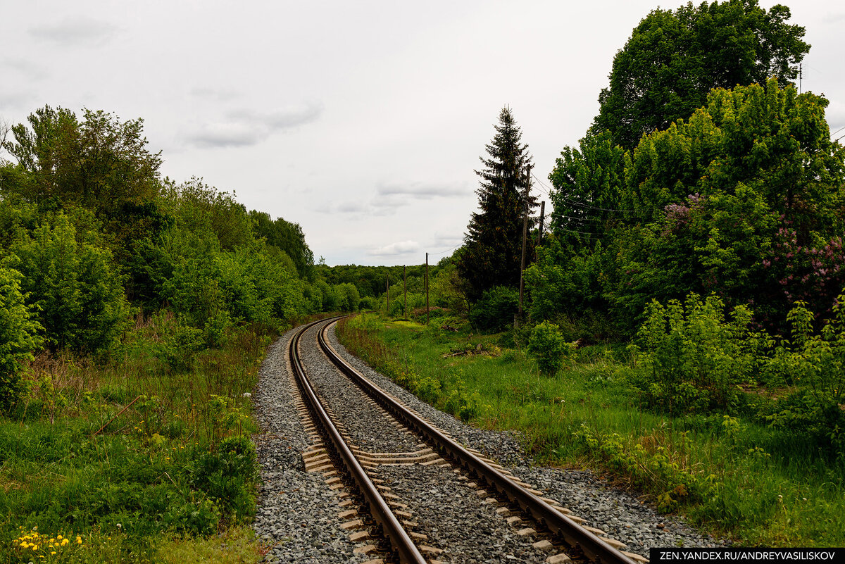 полустанок чзо. станция черёха псковская область. касня вяземский район смоленской области. ночь на полустанке. поезд на полустанке.