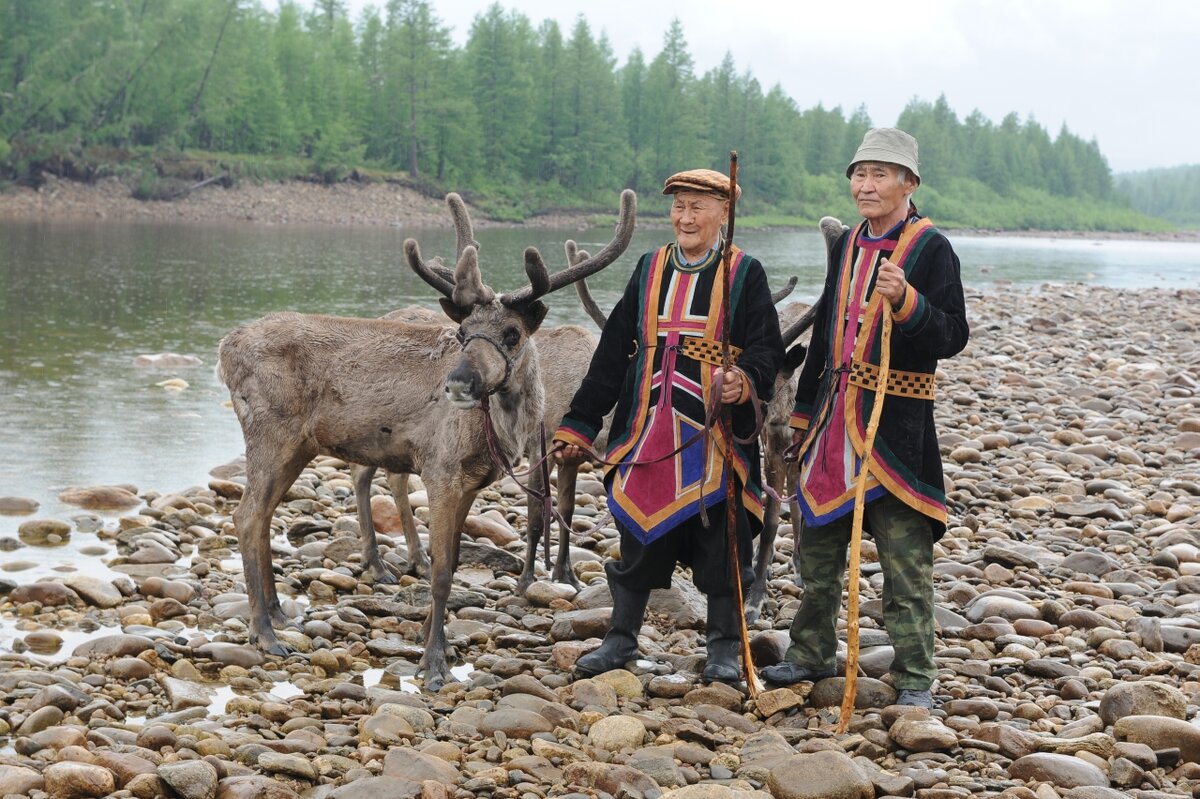 фото взято из открытых источников в интернете