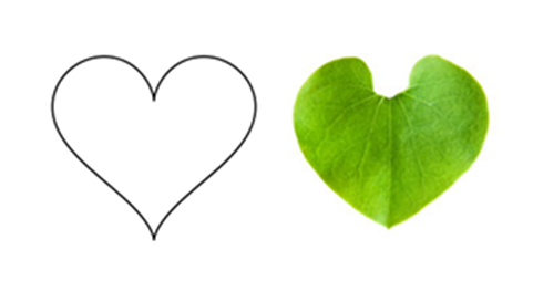 Символ сердца и плющ