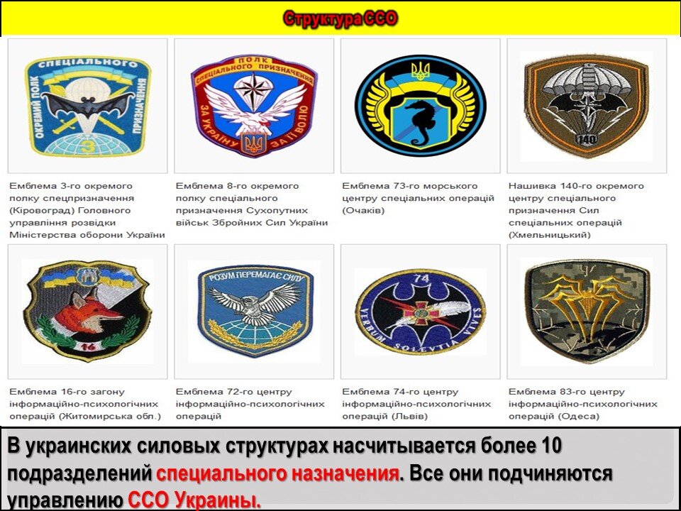 Структура ССО Украины. Фото с интернета.