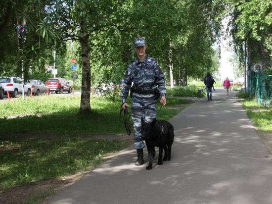     фото Пресс-службы УМВД России по Архангельской области