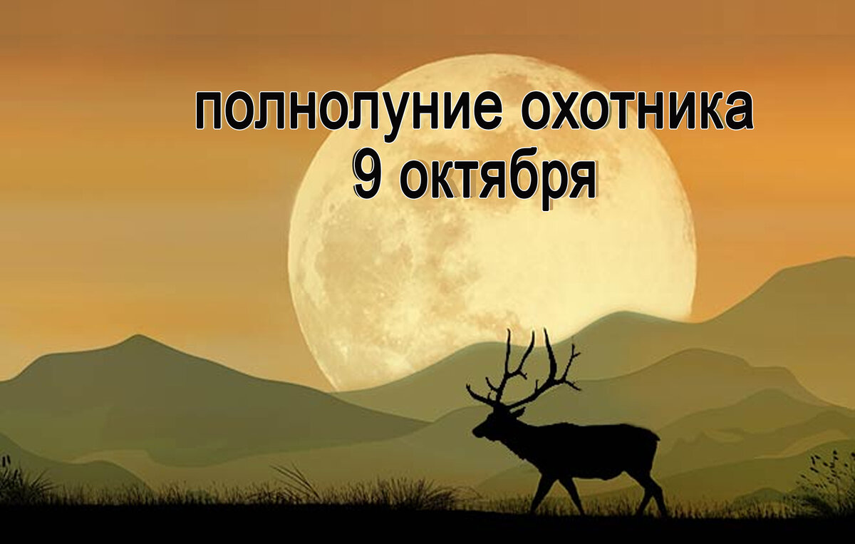 9 10 2022. Полнолуние охотника. 9 Октября полнолуние. Полнолуние 9 октября 2022. Полнолуние в октябре 2022.