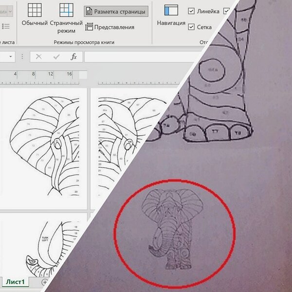 Коллаж и фото автора