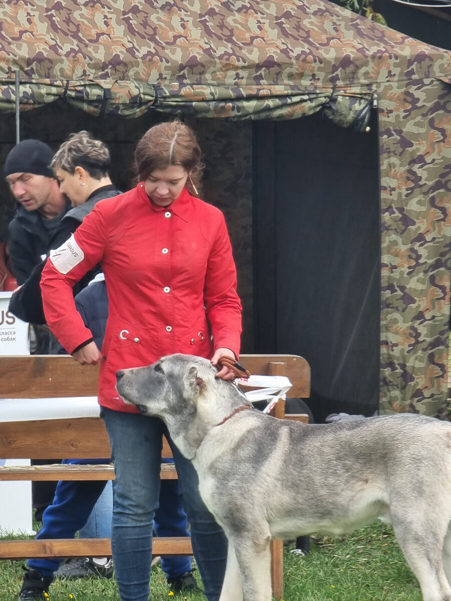 Мы только начали выступление. Я уверена в себе как никогда.