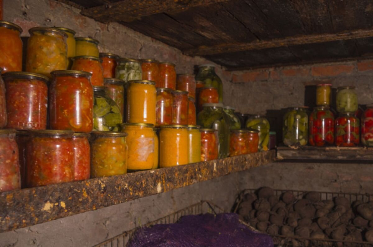    Овощебаза в многоэтажке. Где в городе найти погреб для картошки?