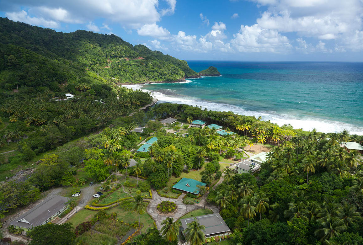 Изображение из открытых источников: ostrov-mira.ru