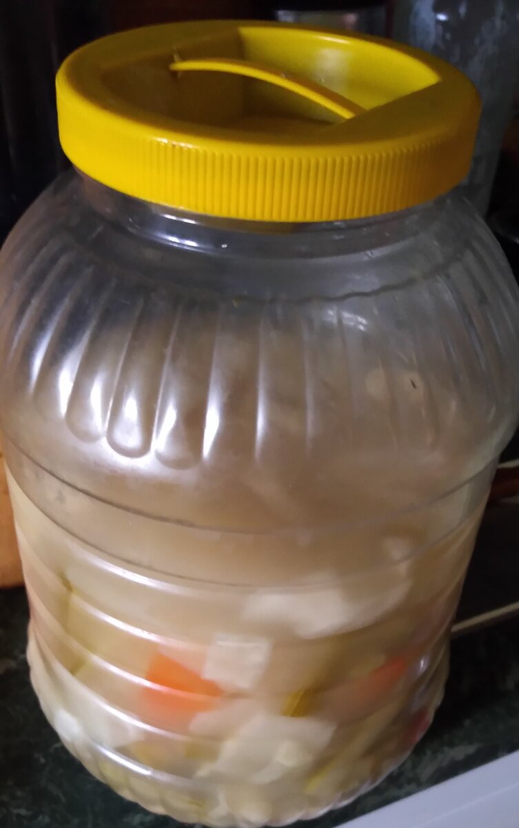 Емкость с квашней на 8 л для холодильника. 