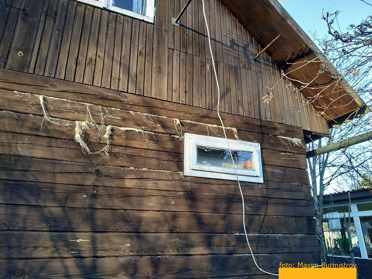 Птицы могут вредить человеку, ну что поделаешь!