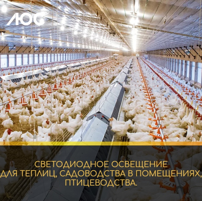 Компания Люс занимается разработкой и производством передового энергосберегающего освещения для теплиц, садоводства в помещениях, птицеводства.