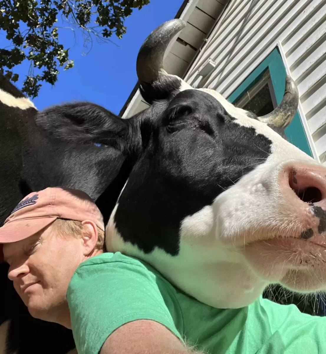   RYAN PHILLIPS/LIFE WITH PIGS FARM ANIMAL SANCTUARY