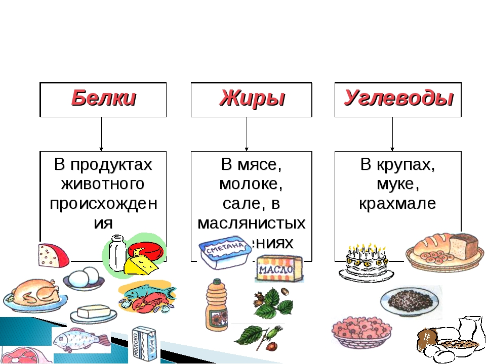 Проект на тему продукты питания как химические соединения