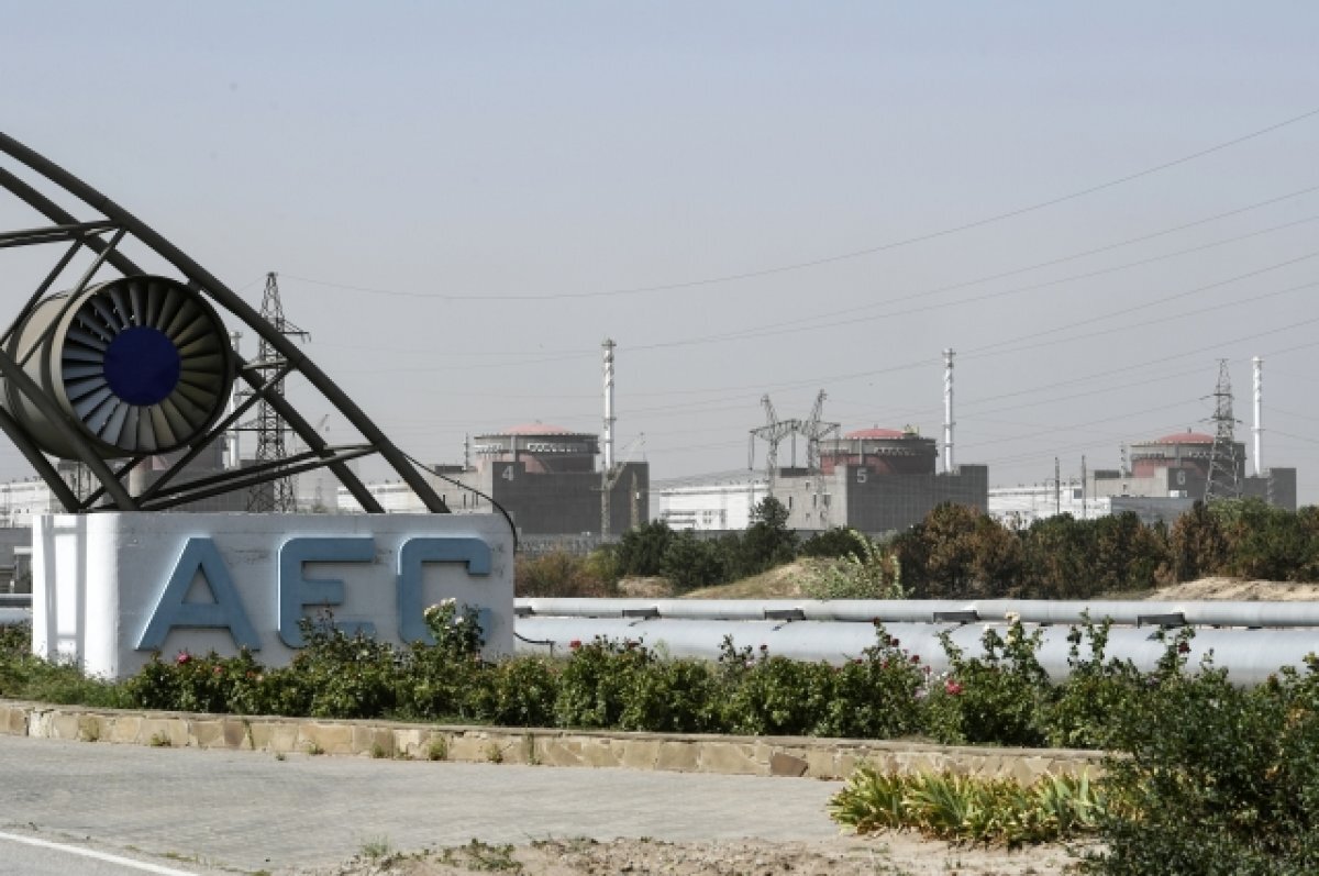    Рогов: Украина возобновила подачу электричества на Запорожскую АЭС