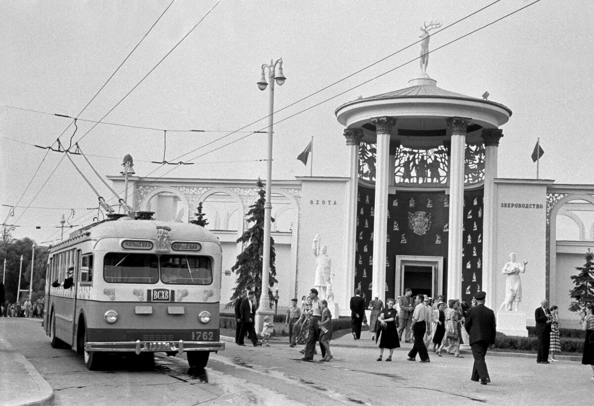 автор фото - В. Носков