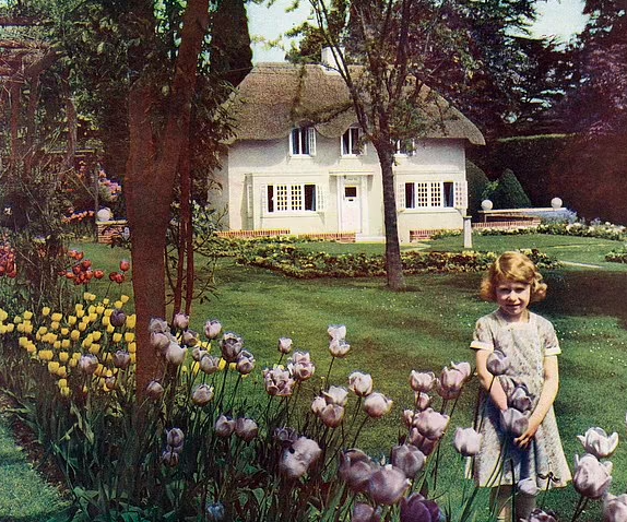 Фото для иллюстрации. Источник Daily Mail Добавьте описание
