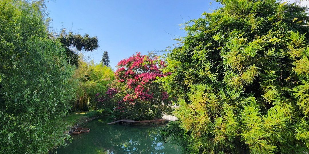 Денрарий или парк "Южные культуры"
