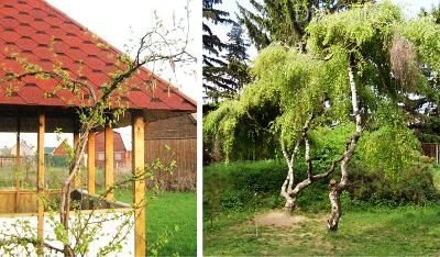 Фото из интернета, но у нас на даче было также