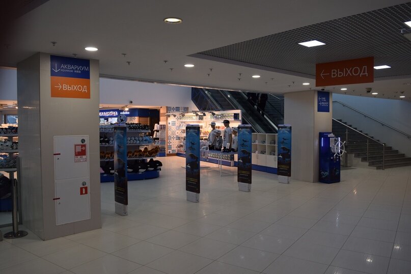 Вход в магазин сувениров в «Москвариуме»