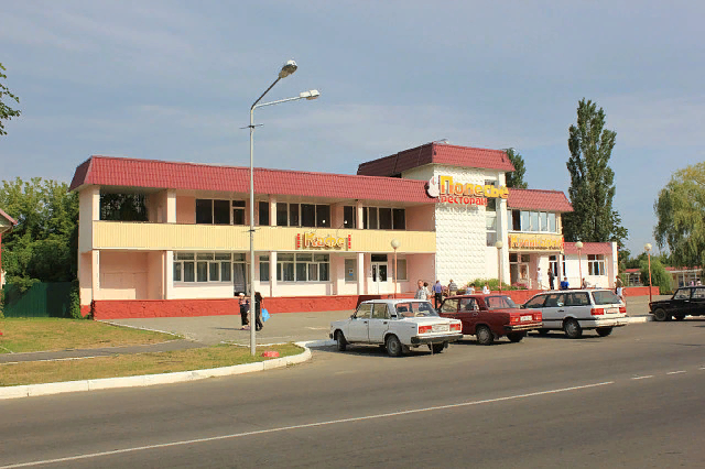 Элит хойники гомель. Давид городок кафе Полесье. Хойники Беларусь. Мозырское Полесье резиденция. Больница в Хойниках.